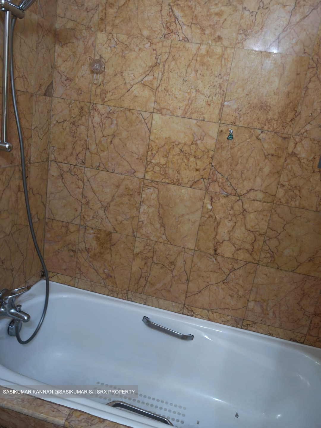 Nineteen Shelford Road (D11), Condominium #577769891